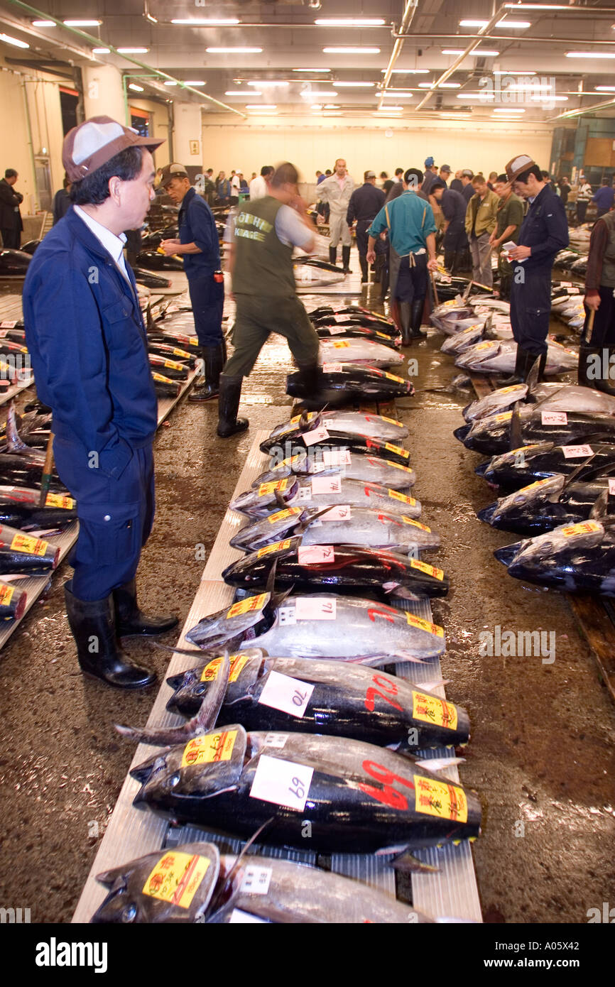 Tsukiji Fish Market Tokyo Japan Stock Photo - Alamy