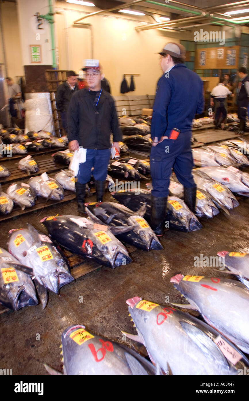Tsukiji Fish Market Tokyo Japan Stock Photo - Alamy