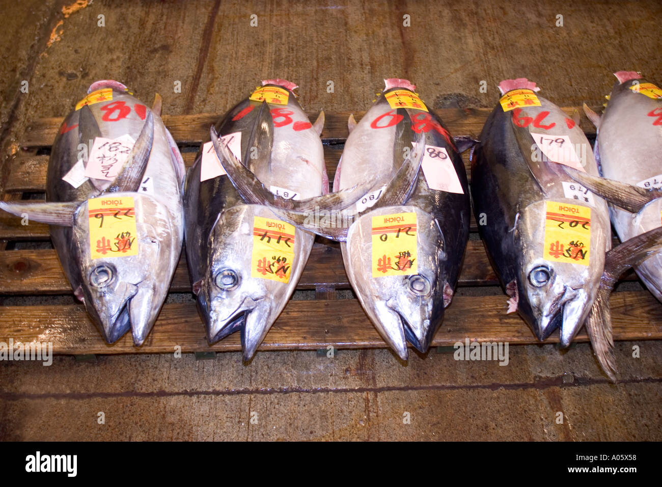 Tsukiji Fish Market Tokyo Japan Stock Photo - Alamy