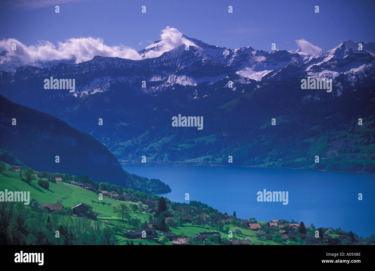 Lake Thun from town Sigriswil with Bernese Alps Bernese Oberland Swiss alps Switzerland Stock Photo