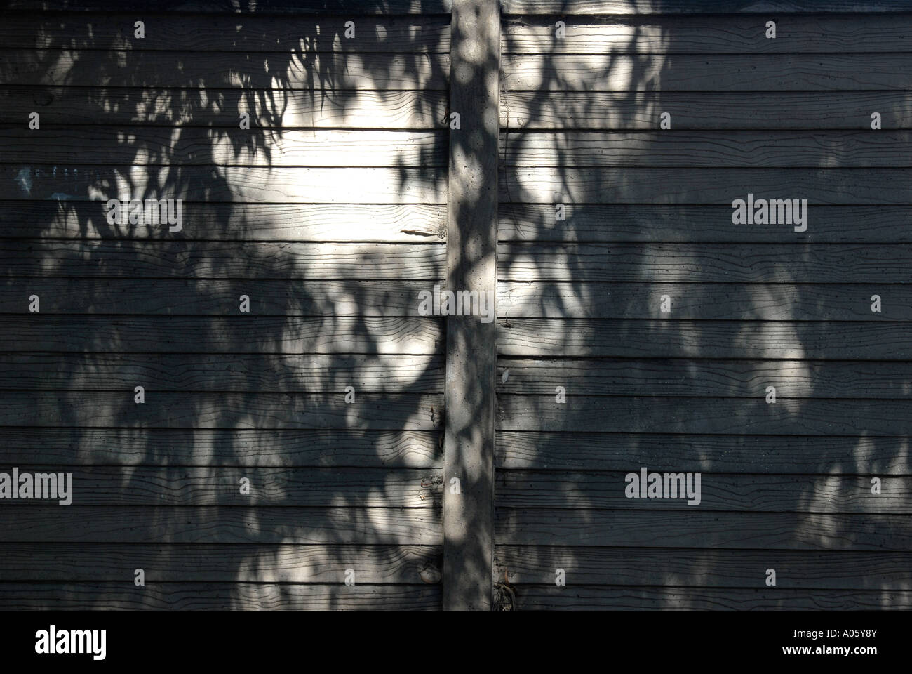 Shadow in light wall hi-res stock photography and images - Alamy