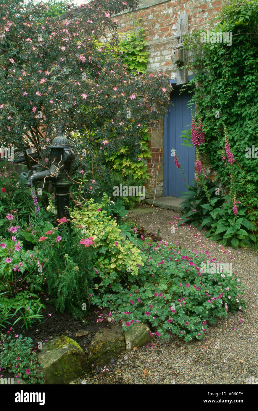 Gravel path by old waterpump and pink roses in walled garden with blue ...
