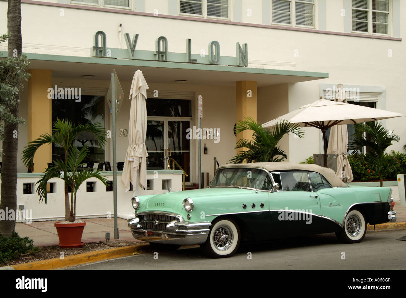 Miami Beach Florida USA Avalon Hotel on Ocean Drive seen from Lummus Park Stock Photo