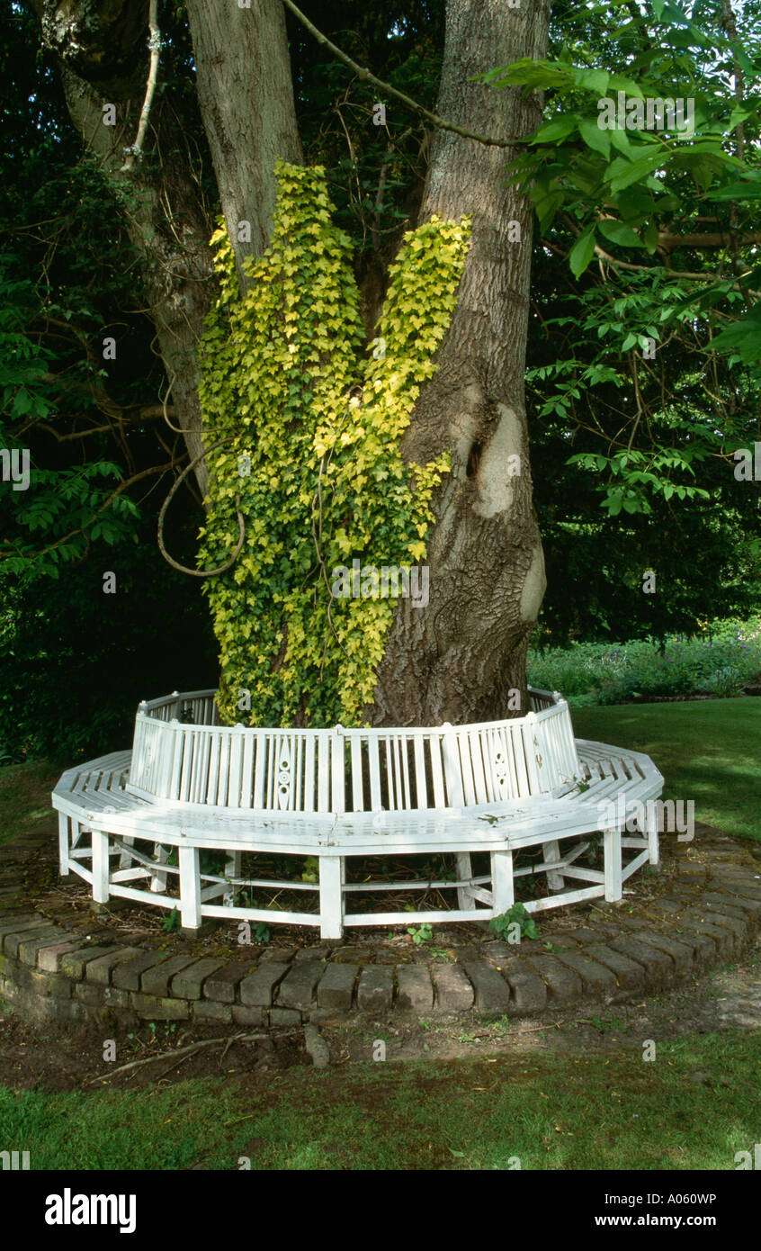 Circular white bench around large tree Stock Photo - Alamy