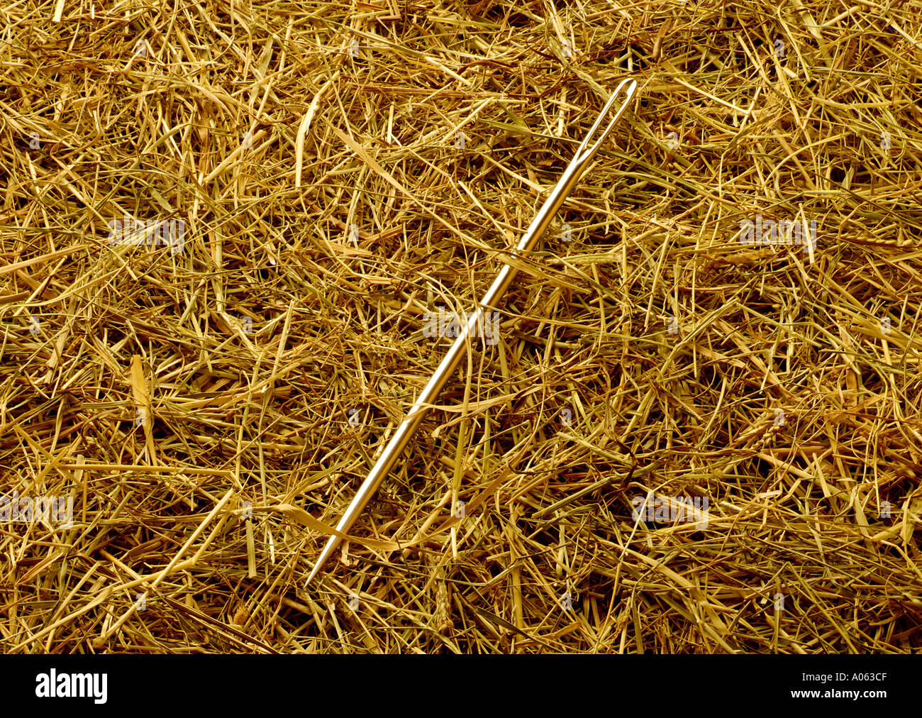 Needle in a Haystack Stock Photo