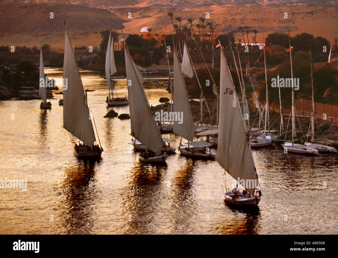 Traditional sailing Feluccas on the Nile Aswan Egypt Stock Photo - Alamy