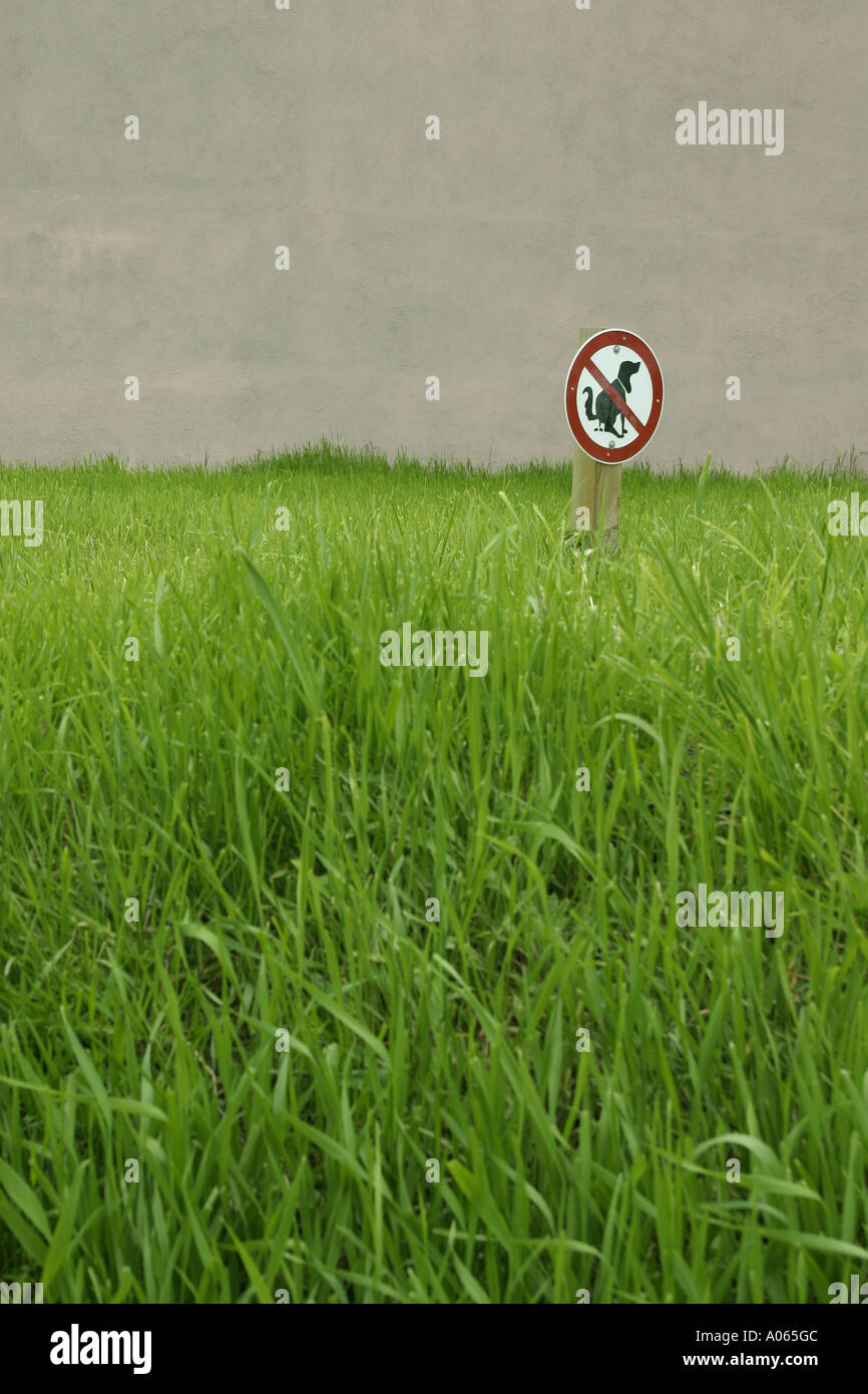 A signboard indicating restricted area for dogs is put amidst green