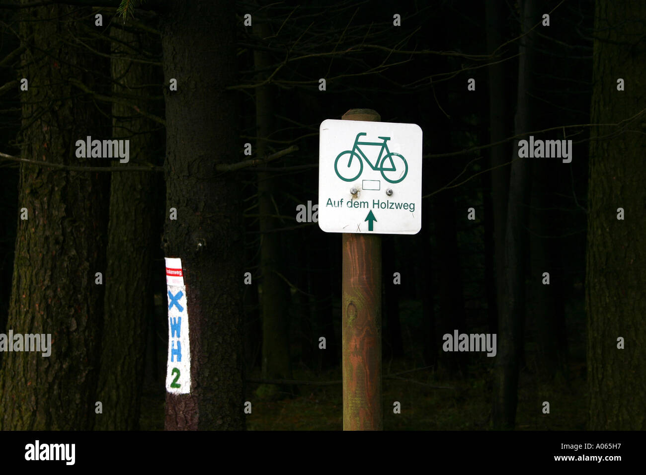 Signboard with a cycles figure seen amidst a woody area Stock Photo