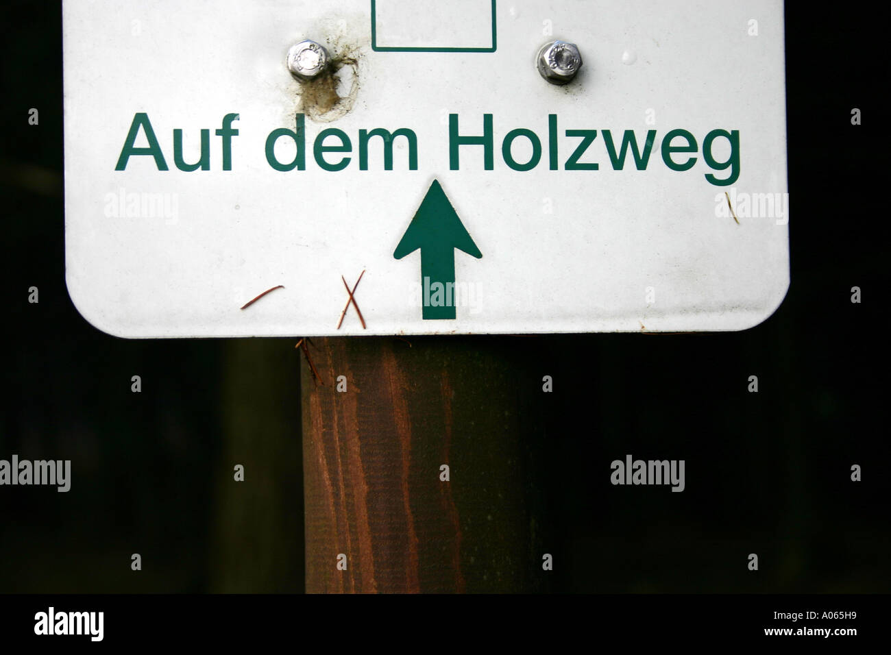Signboard showing direction attached to a wood Stock Photo