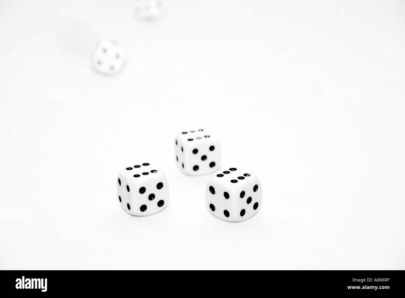 Three dices having black counts is seen against a white background Stock Photo