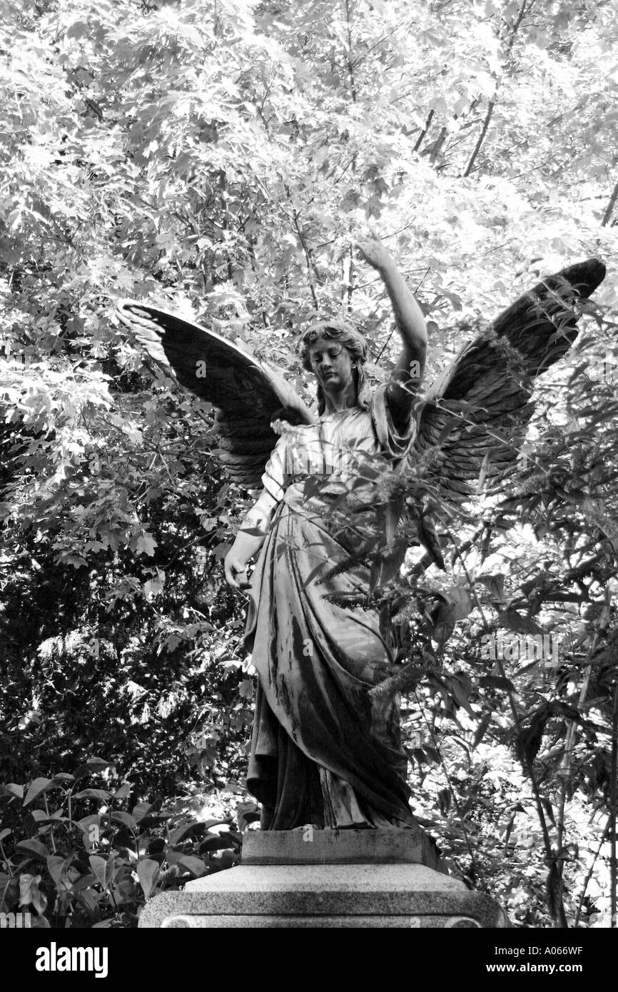 A sculpted angel is seen amidst the trees Stock Photo