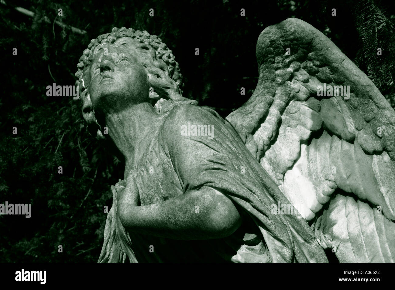 Low angle view of a sculpted angel Stock Photo