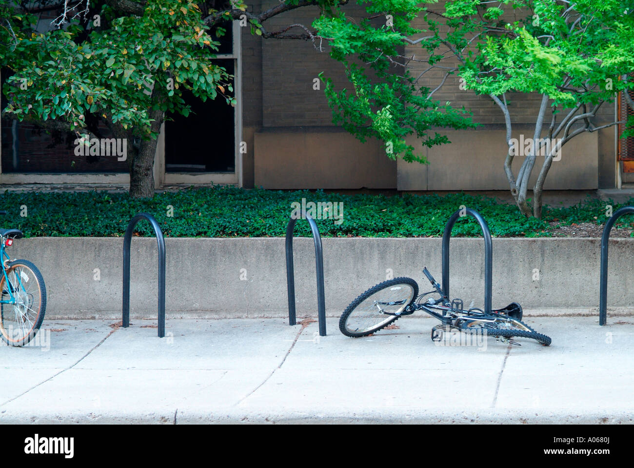 Broken bike in bike rack at University of Michigan campus, Ann Arbor