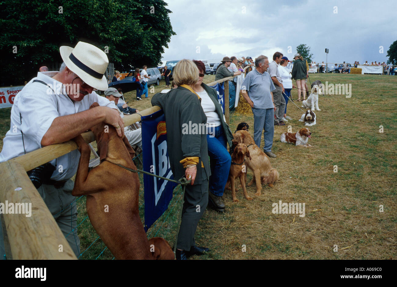 Dog show 2000 Game fair Blenheim Palace Oxfordshire Stock Photo Alamy