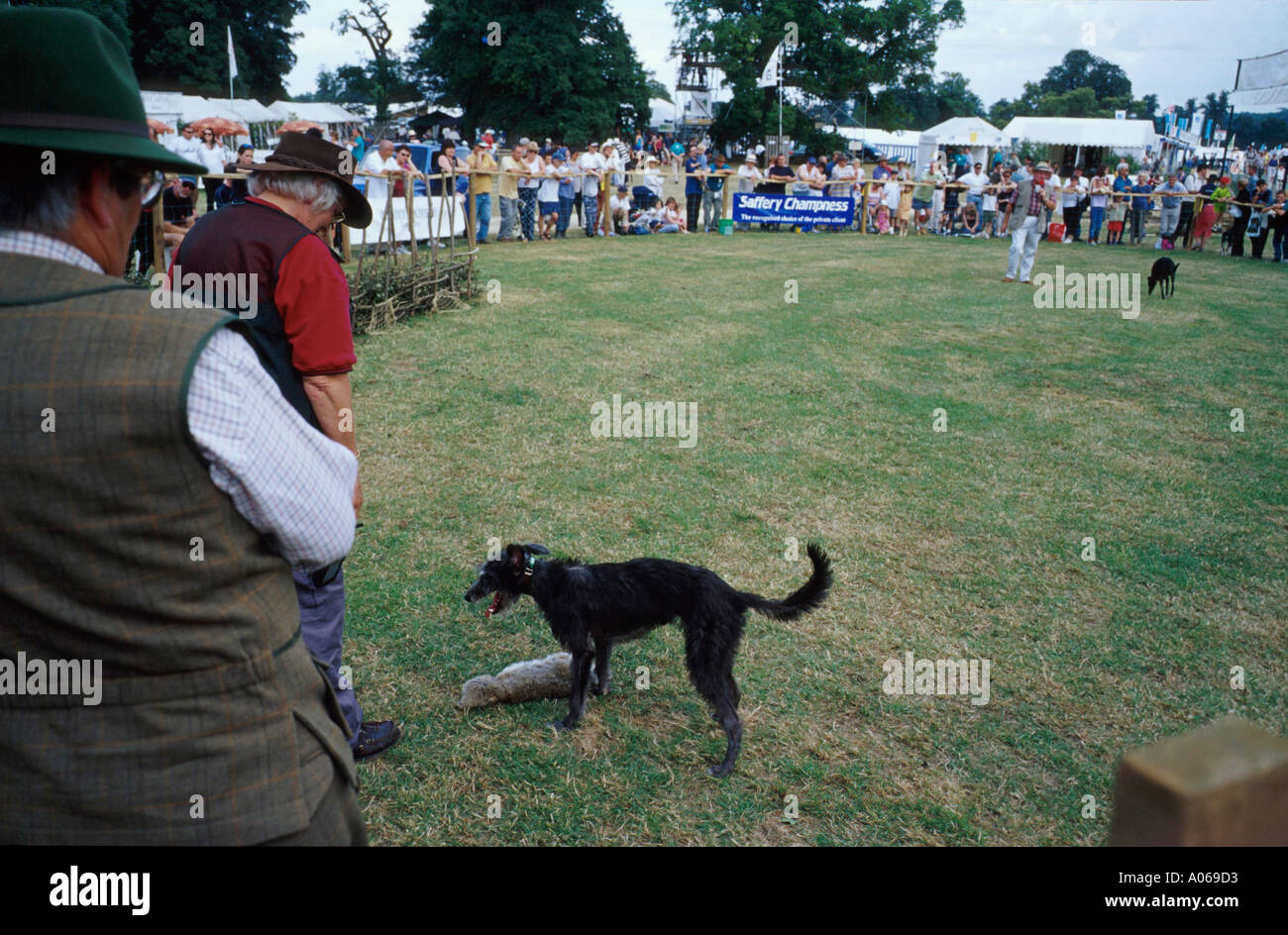 Hare coursing display at the 2000 Gamefair Blenheim Palace