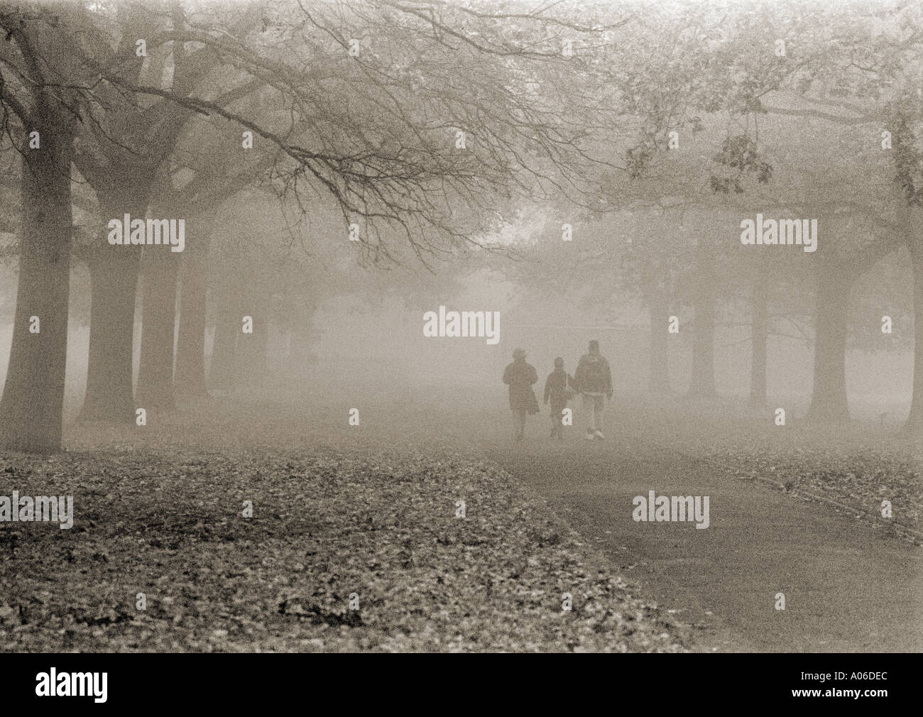 family walking down park alley way in the fog,Hyde Park ,London Stock Photo