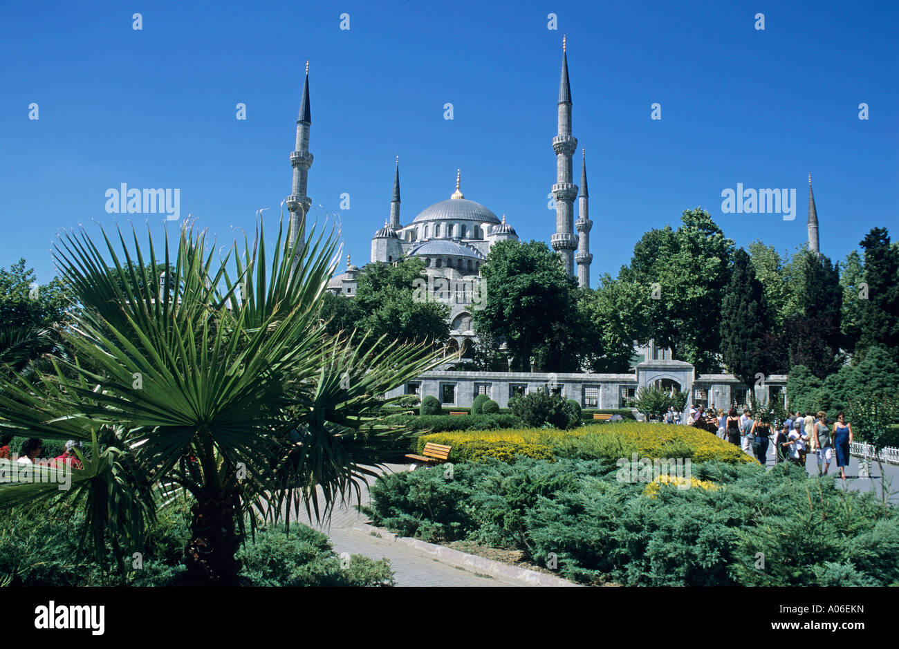 Domes and minarets of the Sultanahmet Camii or Blue Mosque viewed ...