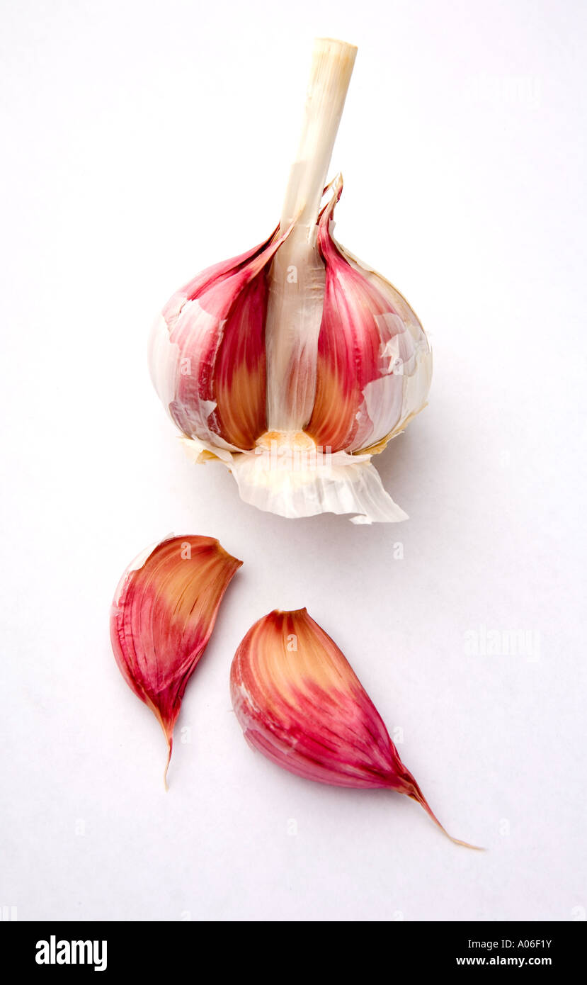 Garlic bulb with cloves on a white studio background Stock Photo - Alamy