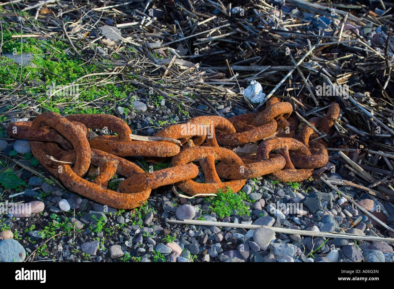 Powdery scaly rusted chain of a ships anchor at Broughty Ferry shore in Dundee Scotland UK Stock Photo