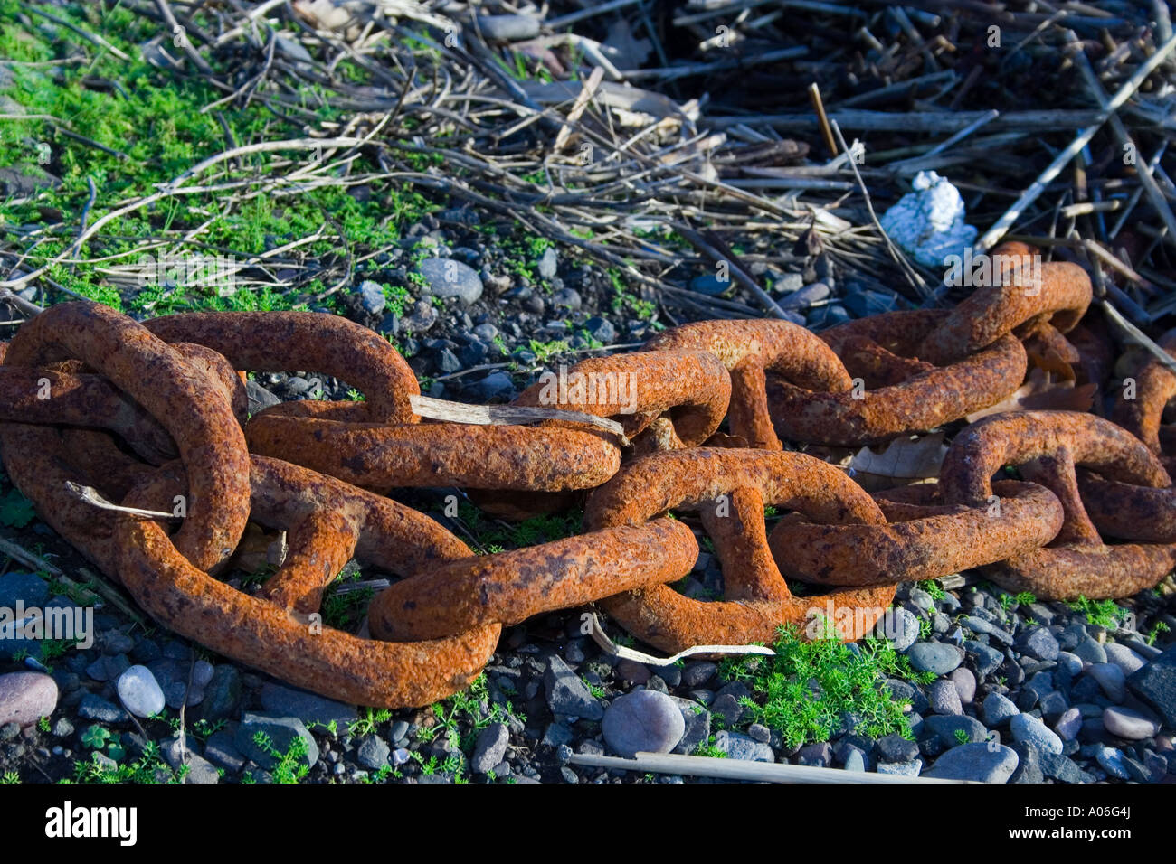 Closeup of a powdery scaly reddish-brown rusted chain of a ships anchor at Broughty Ferry shore in Dundee Scotland UK Stock Photo