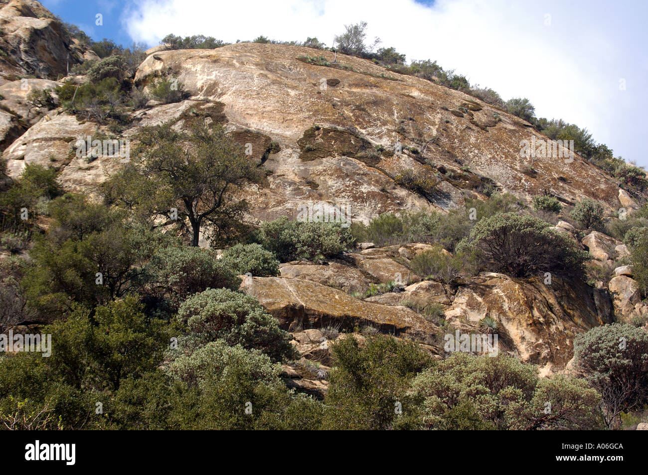 Los Padres National Forest Stock Photo Alamy