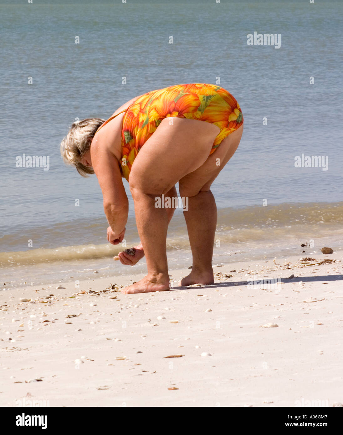 Fat lady collecting shells in Florida Stock Photo