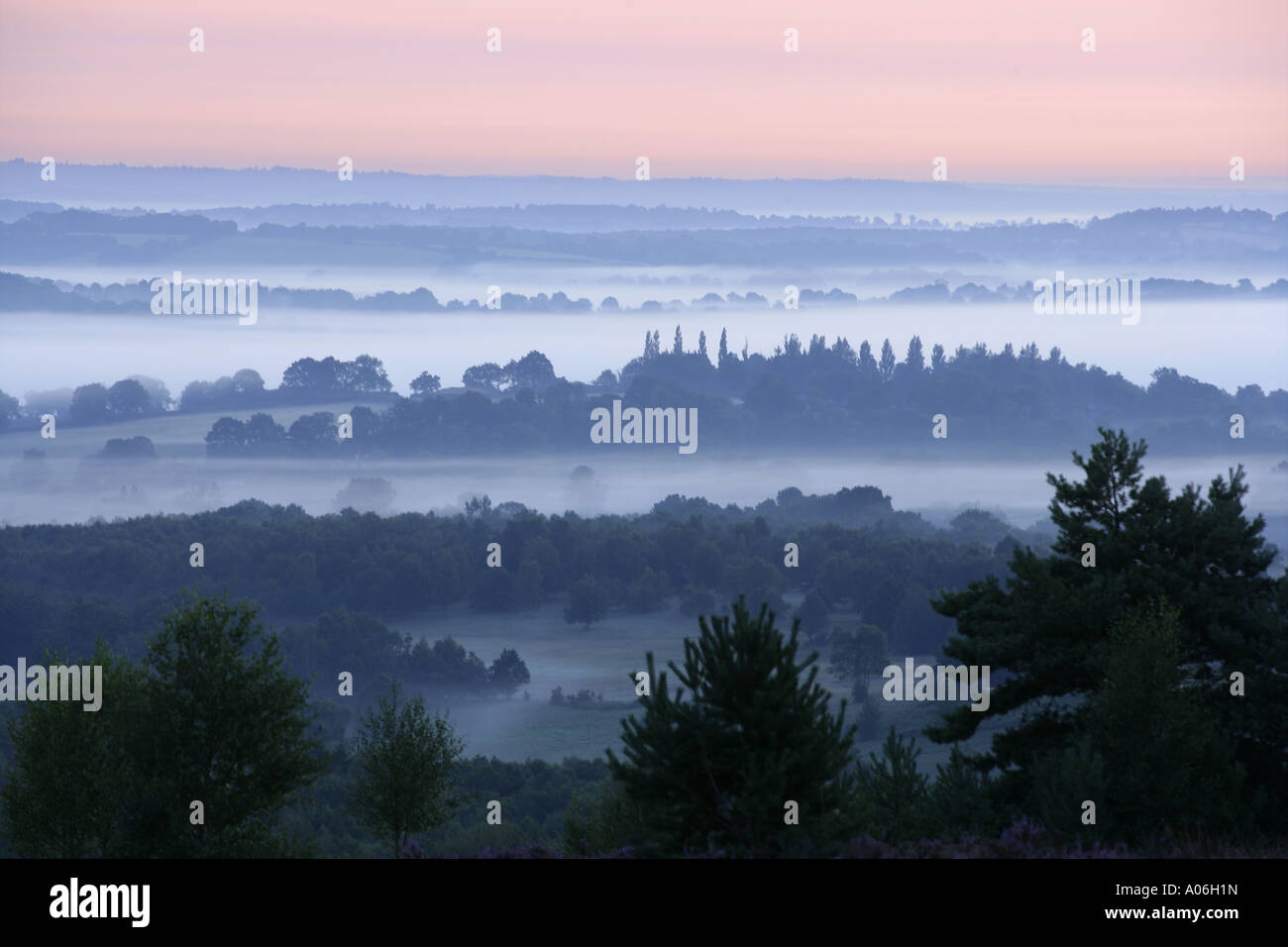 Early morning mist in Ashdown Forest Stock Photo