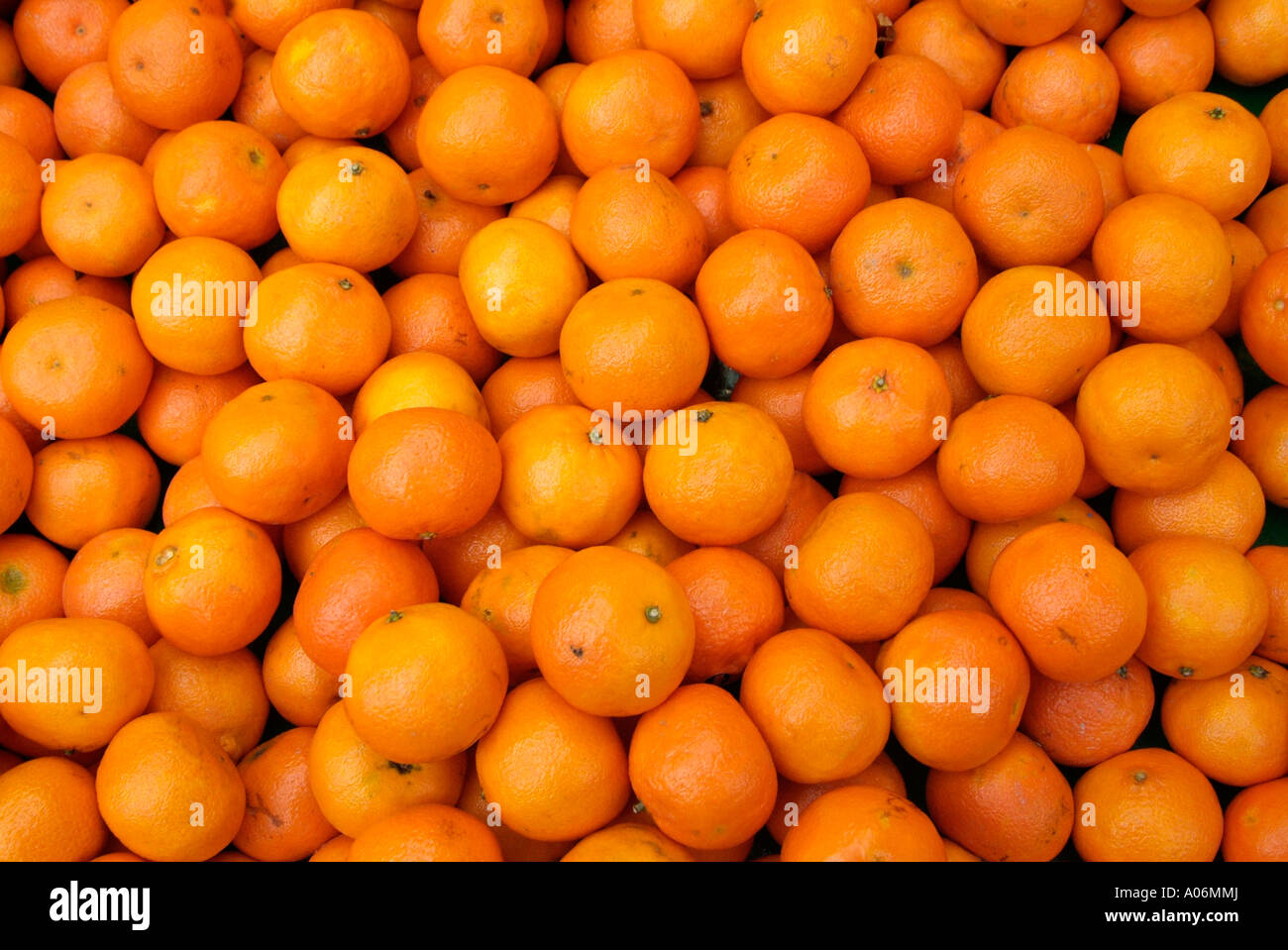 Satsuma orange Clementine juicy peel juice fruit whole produce eat food