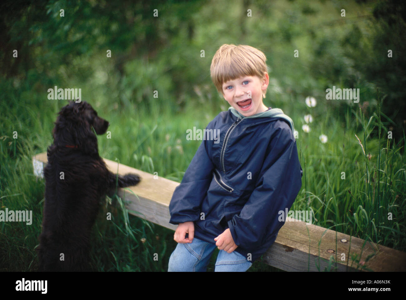 Six Year Old Boy with black cocker spaniel puppy on walk in the country Norfolk UK Stock Photo