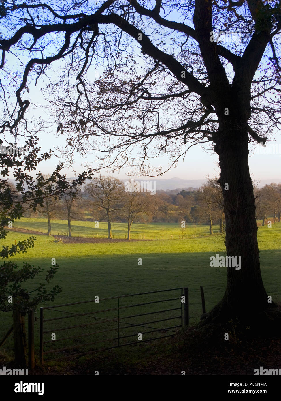 Alderley Edge Cheshire England Stock Photo Alamy