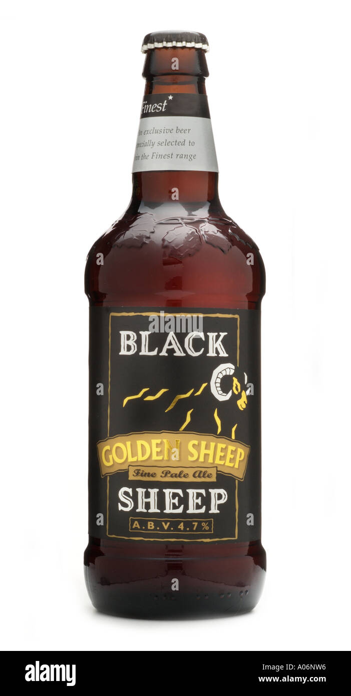 Black Sheep Golden tesco finest fine strong pale ale Masham North Yorkshire England UK United Kingdom GB Great Britain EU Europe Stock Photo