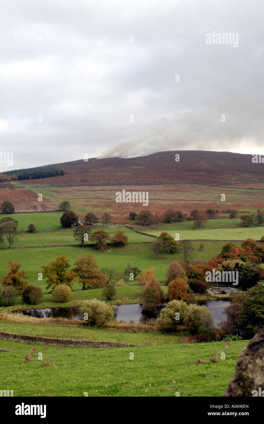 Heather burning on Barden Fell near Grassington Yorkshire Dales during November Looking east from Appletreewick Stock Photo