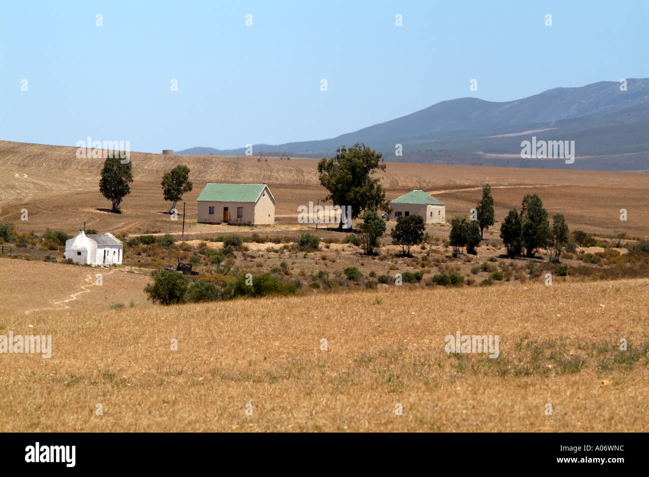 Rural landscape of farm and cottage in wheatlands at Stormsvlei western Cape South Africa RSA Stock Photo
