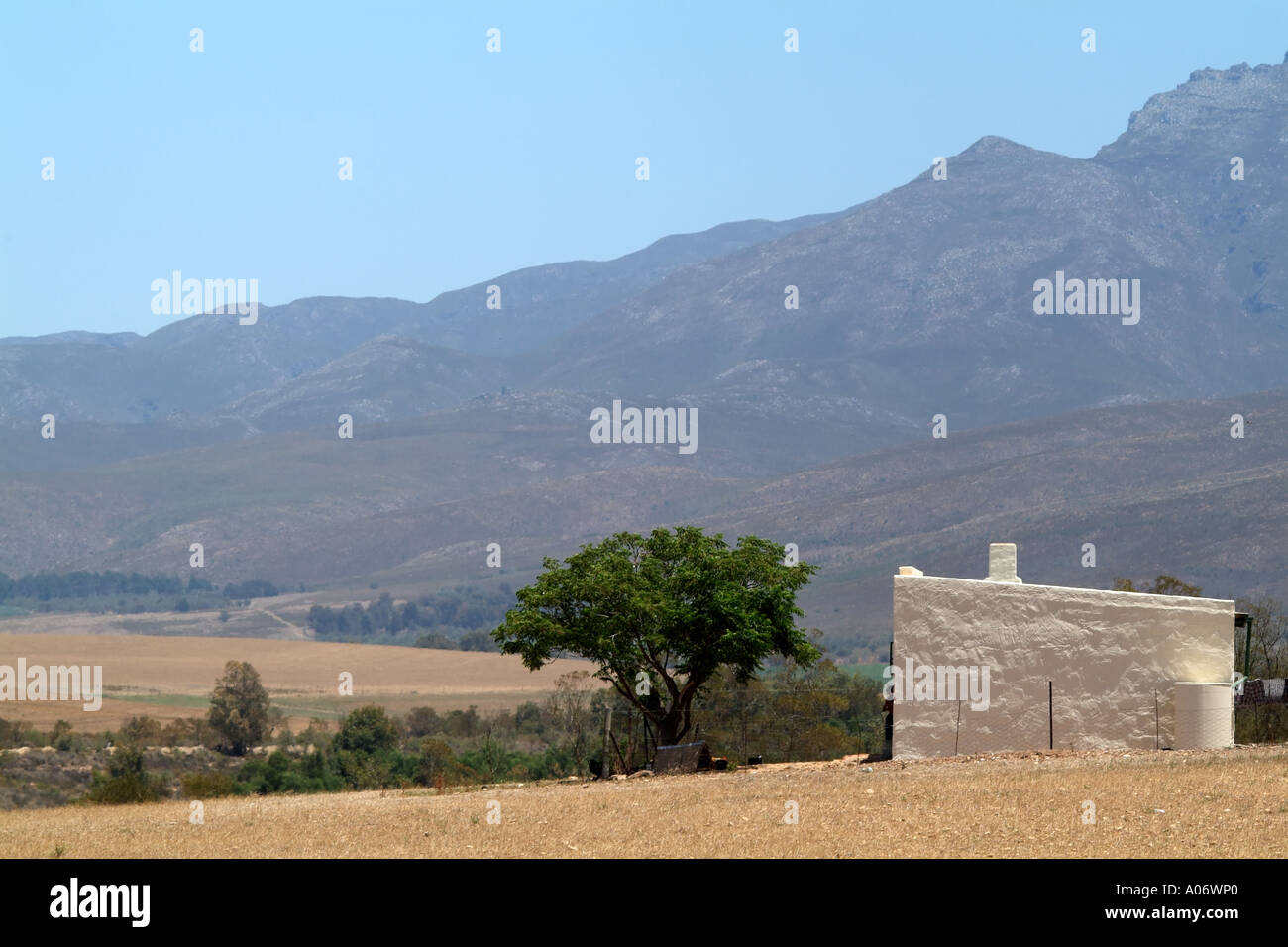Rural landscape of cottage in wheatlands at Stormsvlei western Cape South Africa RSA Riviersonderend Mountains Stock Photo