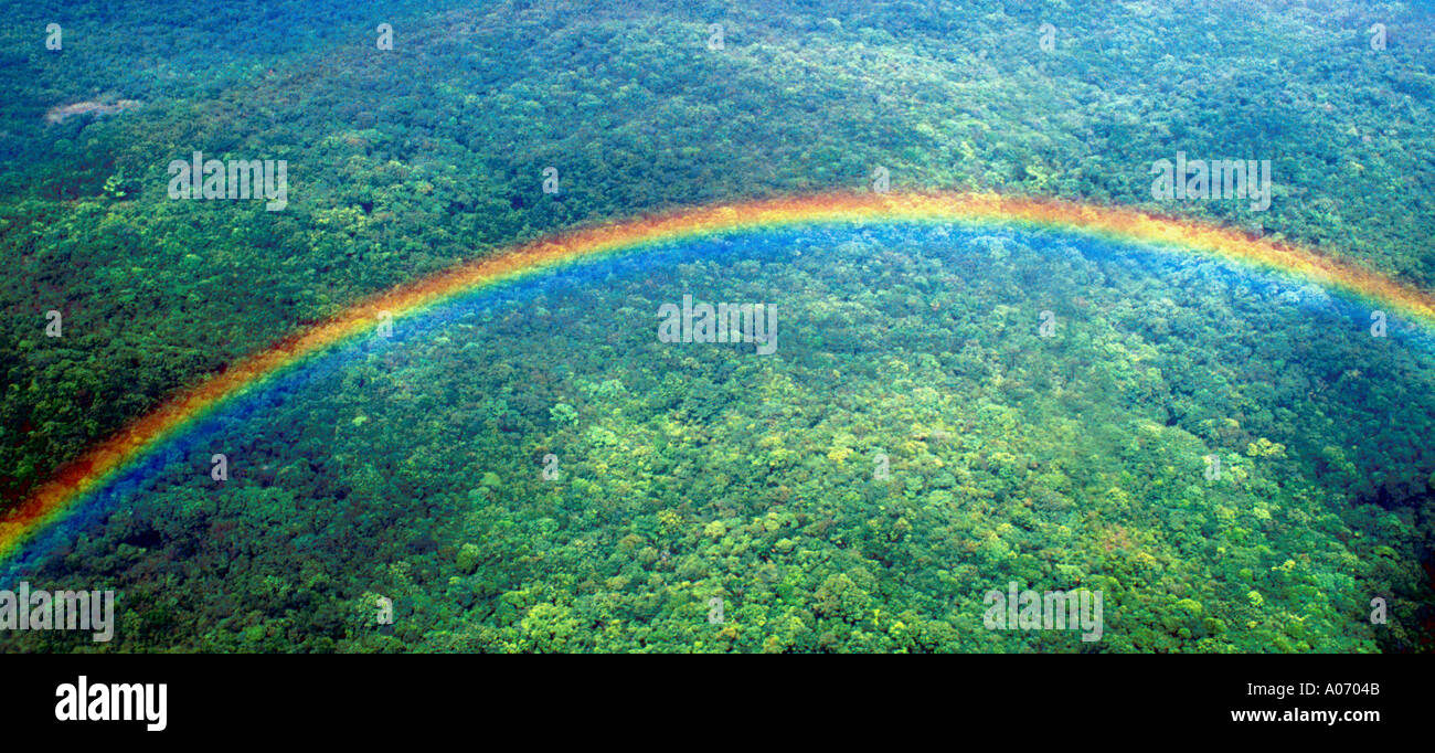 Rainbow Over the Amazon Jungle, Orinoco Basin, Venezuela Stock Photo