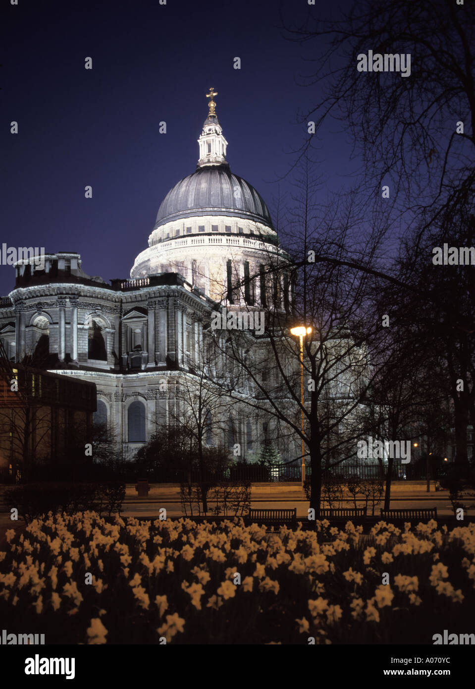 Evening floodlit view of historical St Pauls cathedral & dome blue dusk sky with spring daffodils in flower Ludgate Hill City of London England UK Stock Photo