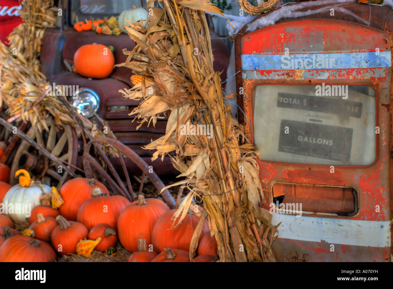 Pumpkin display. Antique truck and gas pump with corn stalks and
