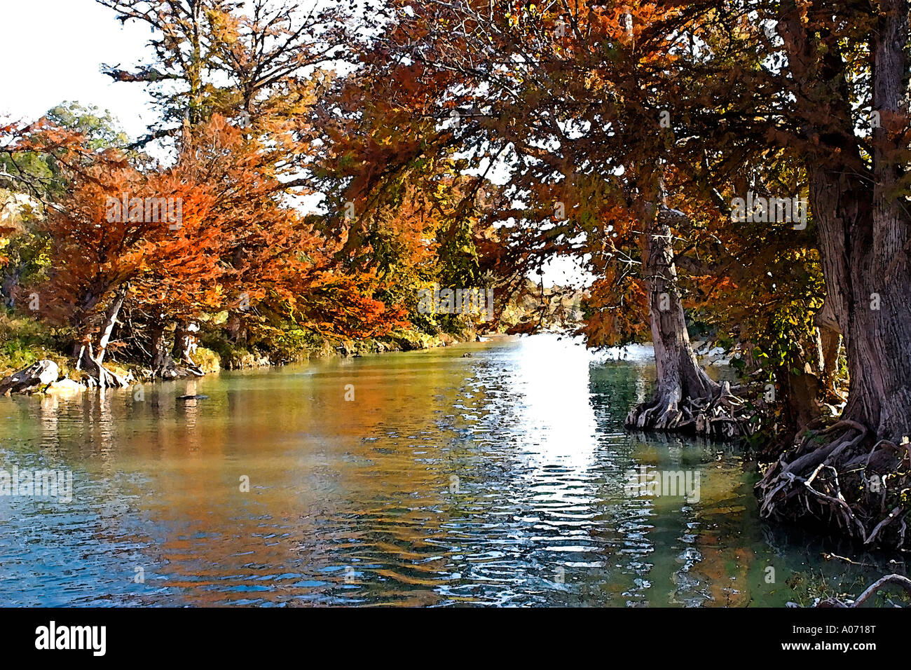 Garner State Park, Texas river with turning Cypress trees reflecting