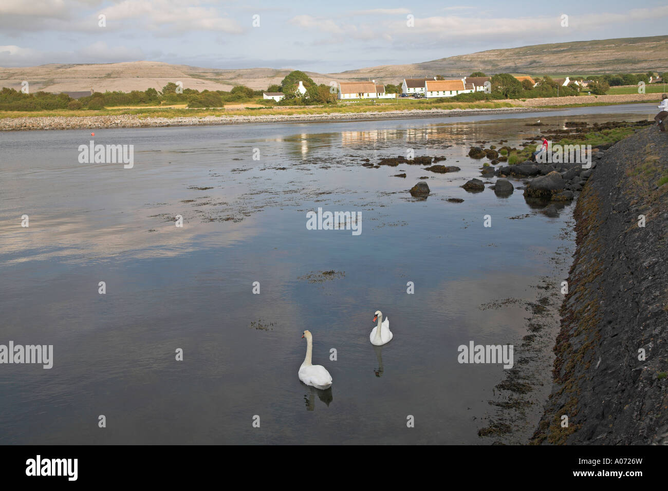 Ballyvaughan harbour, County Clare, Ireland Stock Photo 9901104 Alamy