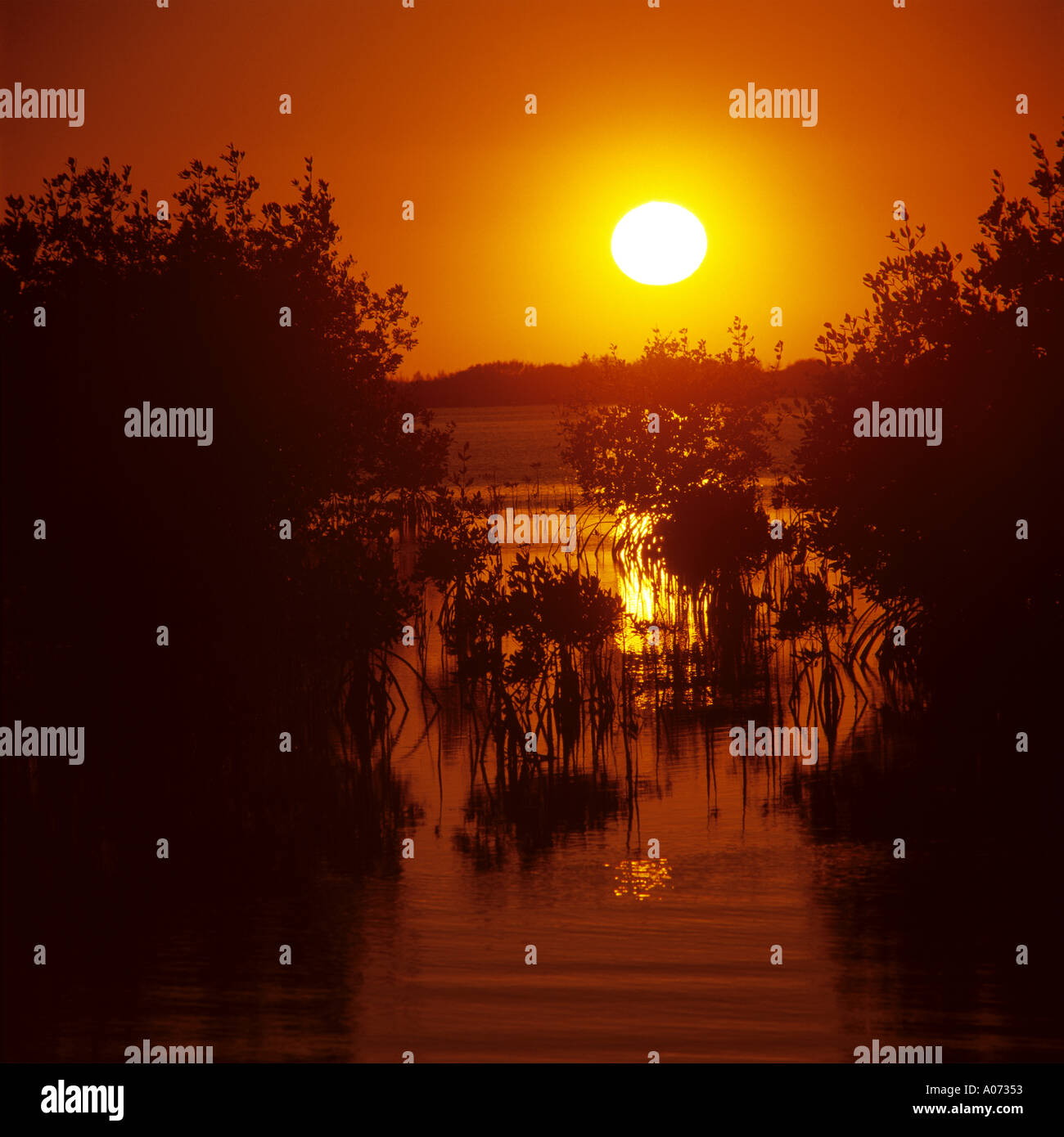 Sunset at The Everglades Card Sound Florida USA Stock Photo - Alamy
