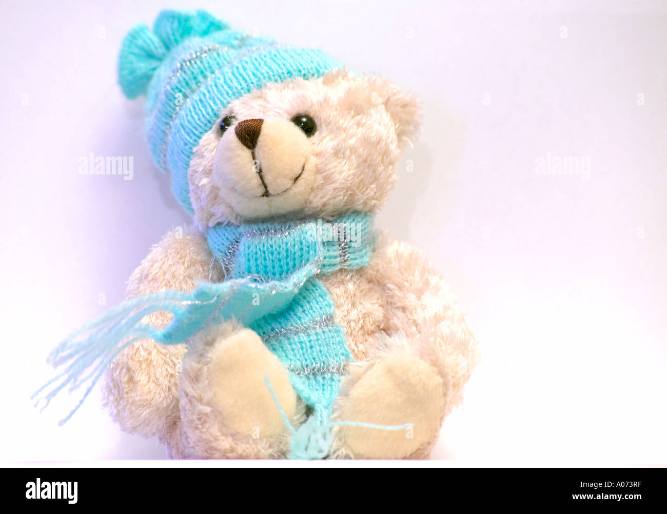 teddy bear with hat and scarf