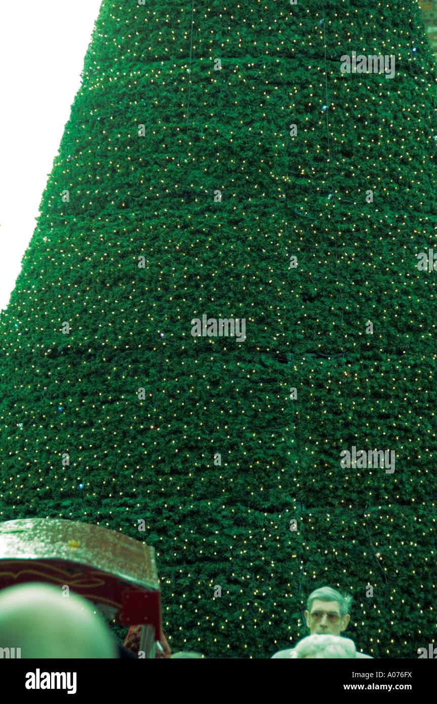 large outdoor christmas tree covered with small lights Stock Photo Alamy