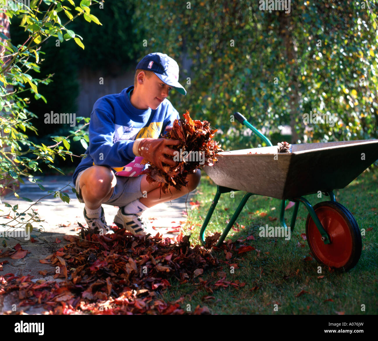 Youth helping to clear autumn leaves in back garden. Stock Photo