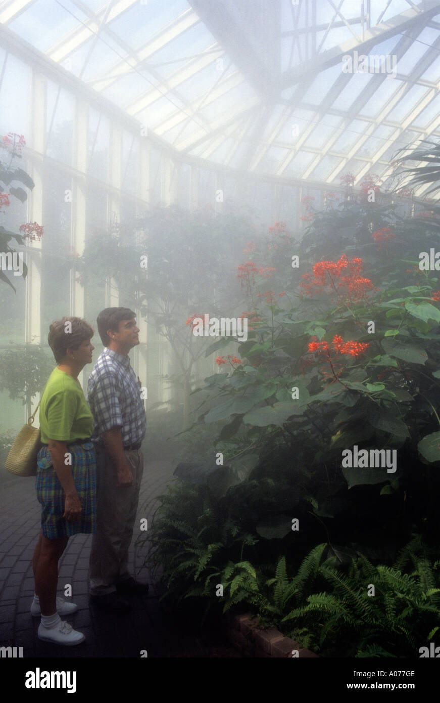 Butterfly habitat in a greenhouse at Calloway Gardens, Stock