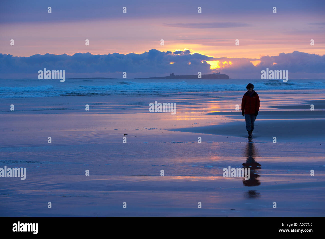 woman walking on the beach at dawn Bamburgh Northumbia England UK Stock Photo