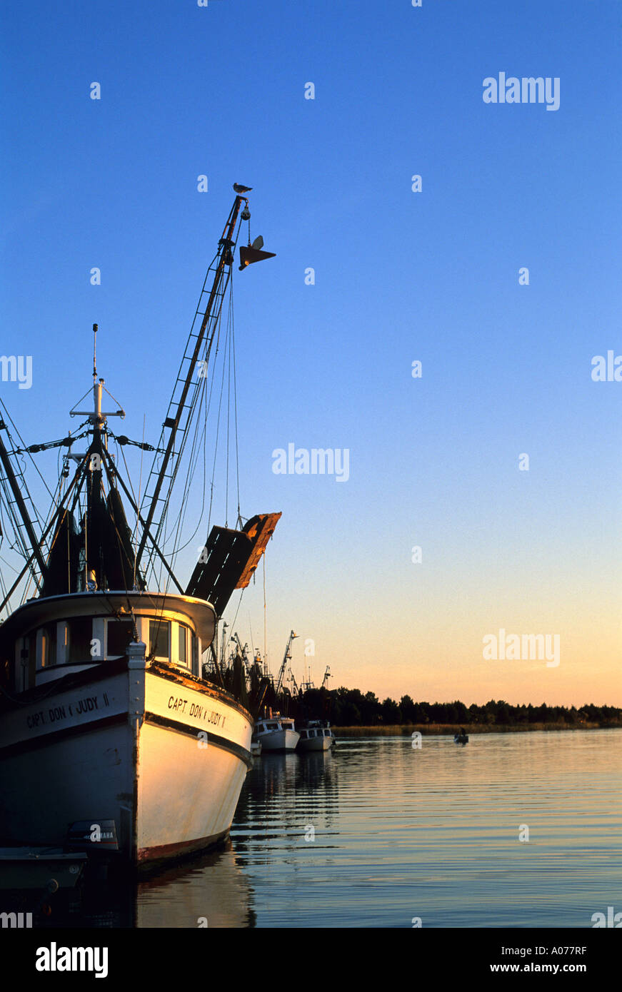 Shrimp fishing boats south carolina hires stock photography and images