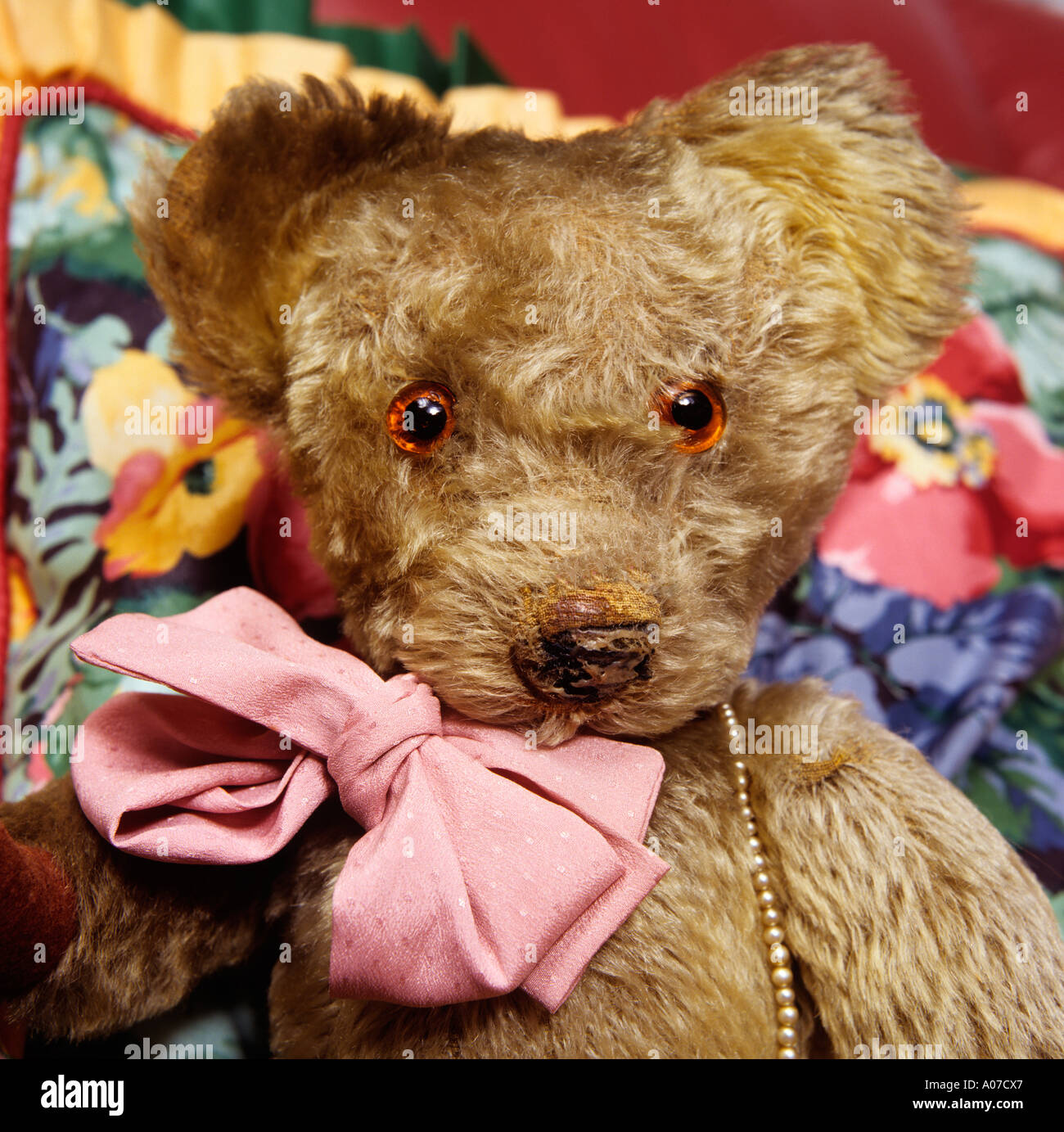 Toys Teddy bear with pink bow Stock Photo