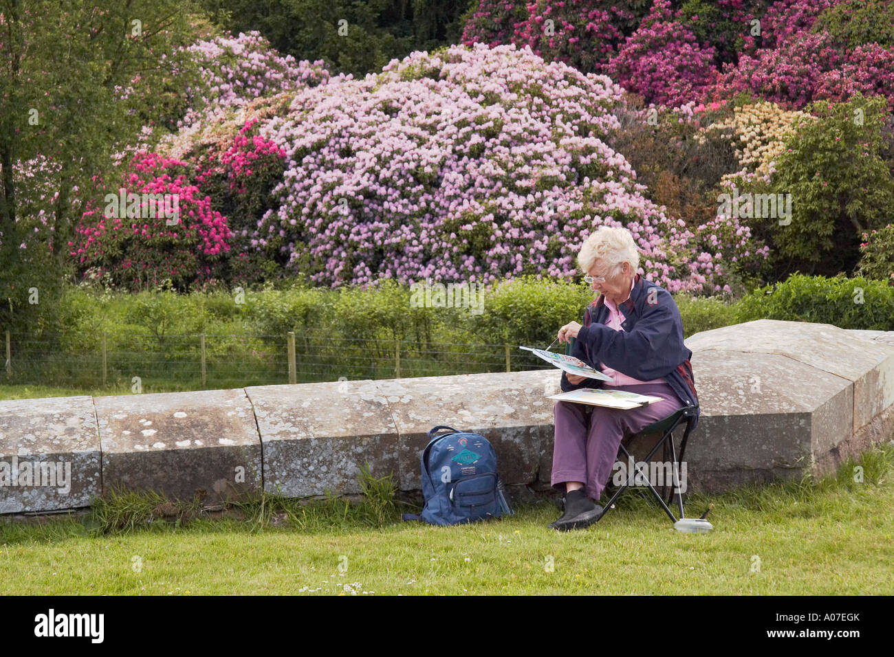 Amateur Artist at work at Belsay Hall Northumberland Stock Photo