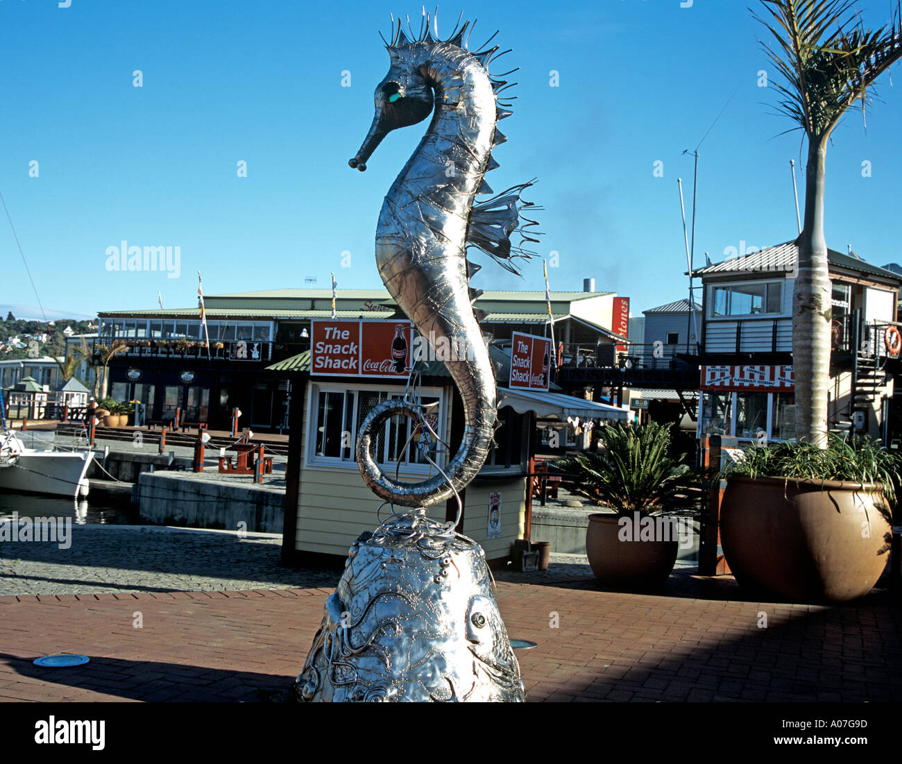 KNYSNA SOUTH AFRICA October Sea Life a bronze sculpture with a chrome