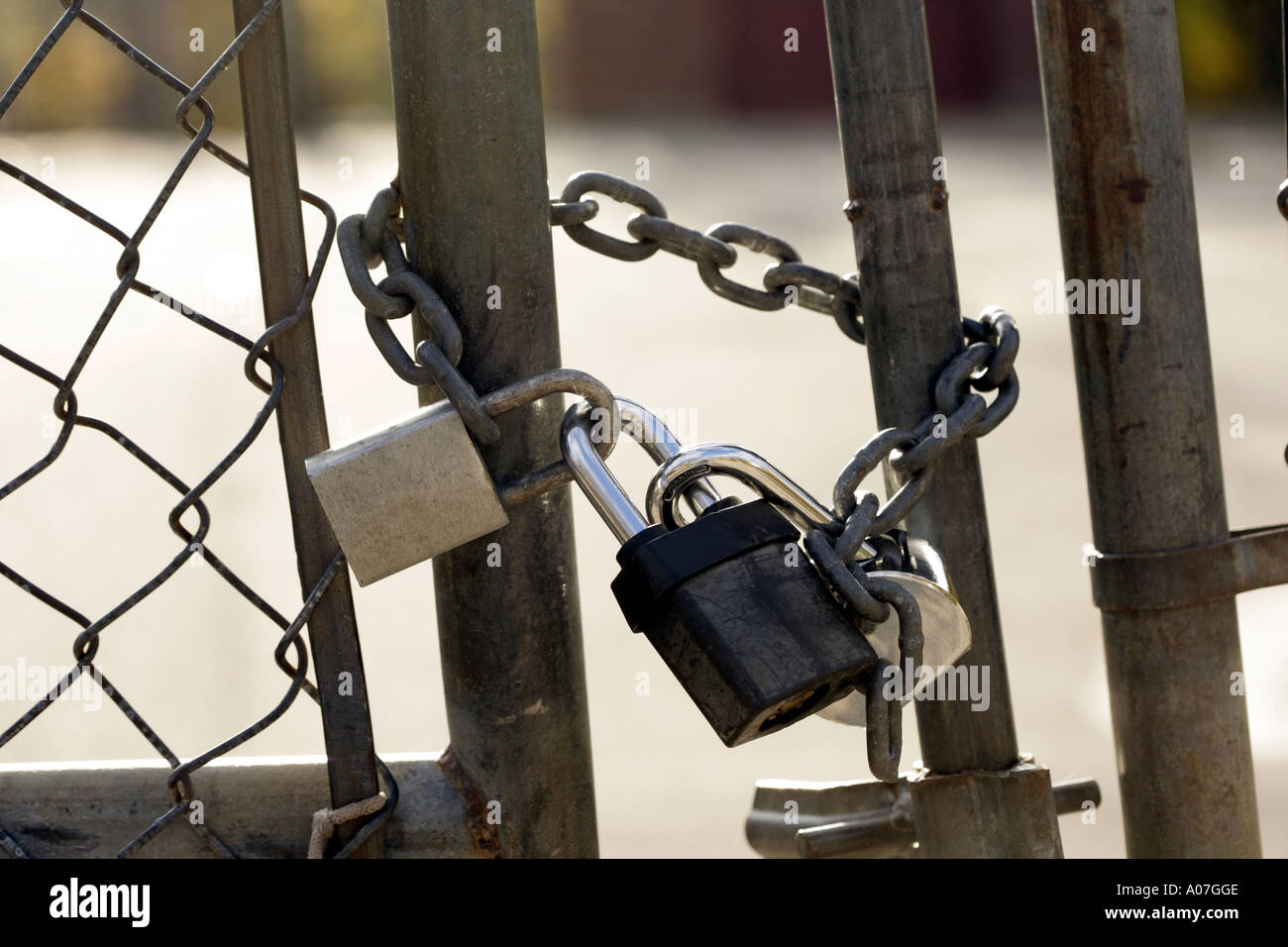 Two locks and metal chain used to keep a gate closed Stock Photo Alamy